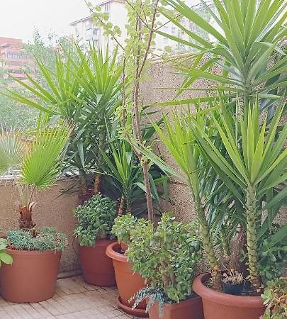 Apartamento Principe Caceres Luaran gambar