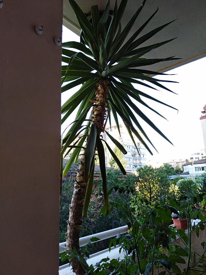 Apartamento Principe Caceres Luaran gambar